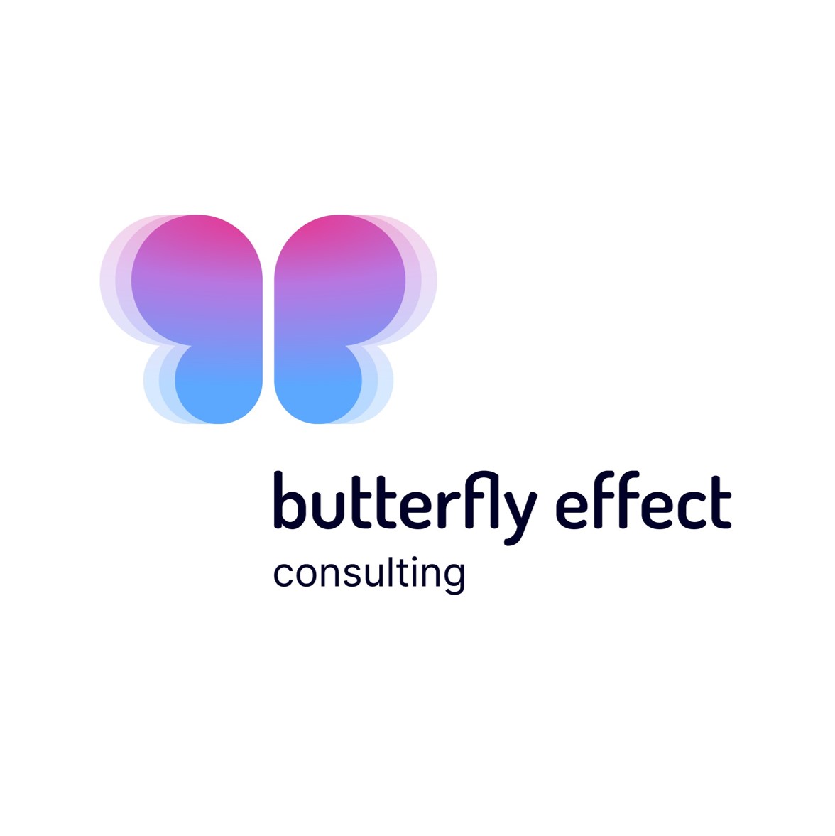 Logo Butterfly Effect Consulting